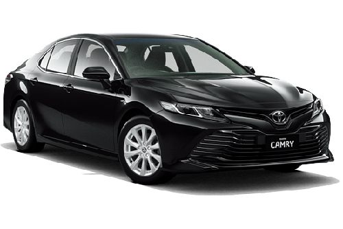 Russian Black Russian Black