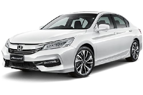 White Orchid White Orchid