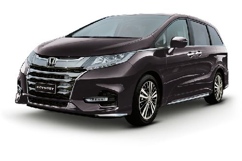 Premium Spice Purple