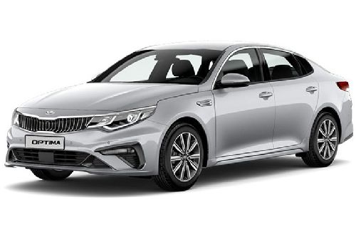 Silky Silver Silky Silver