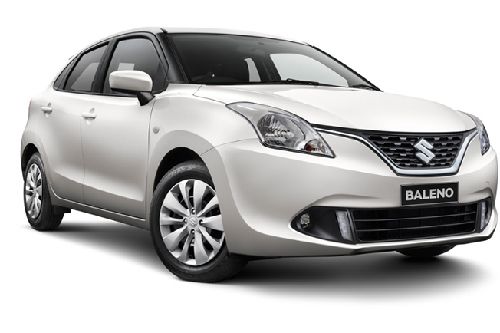 Arctic White Arctic White