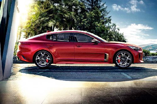 Stinger Side view Stinger Side view