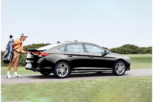 Sonata Rear Medium Side View Sonata Rear Medium Side View