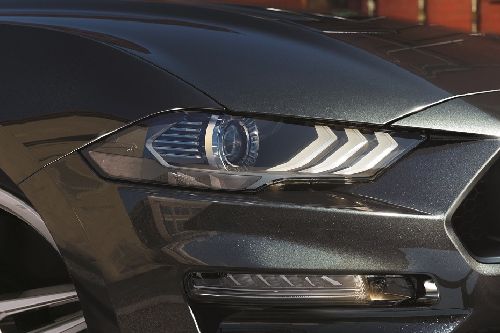 Mustang Headlight Mustang Headlight