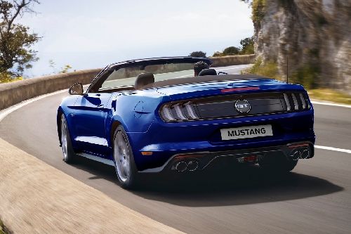 Rear Medium View of Ford Mustang Rear Medium View of Ford Mustang