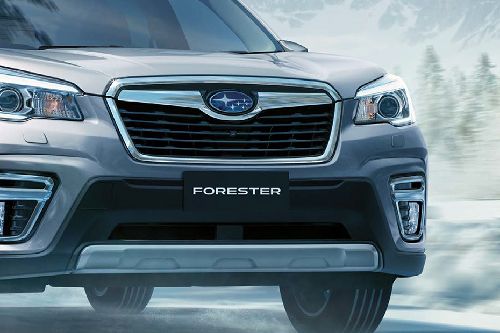 Forester Grille View Forester Grille View