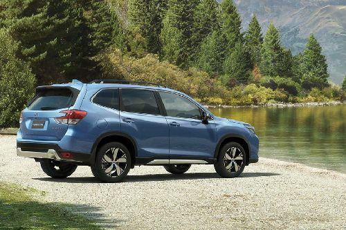 Forester Rear Medium Side View Forester Rear Medium Side View